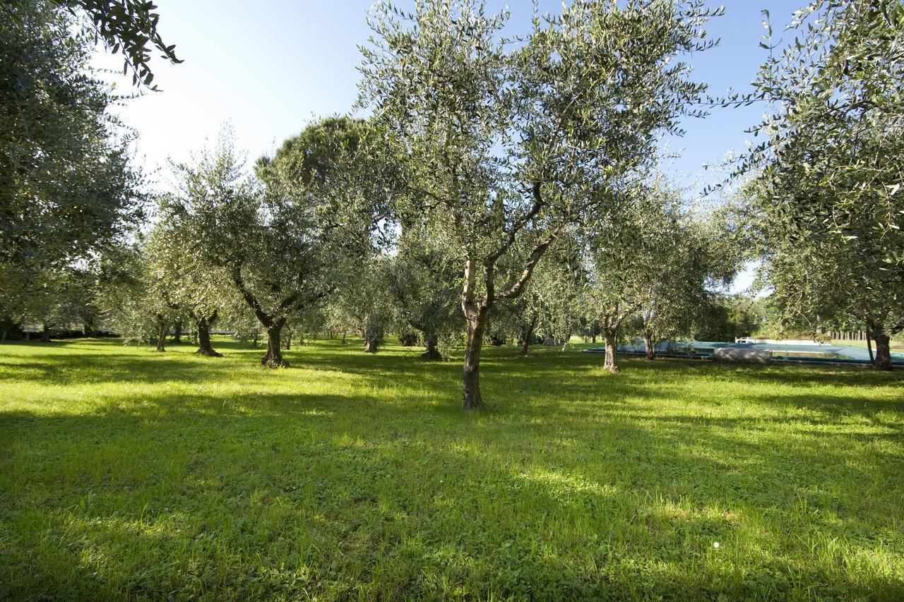 Agrigturismo Monte Cicogna Villa Moniga del Garda Eksteriør billede