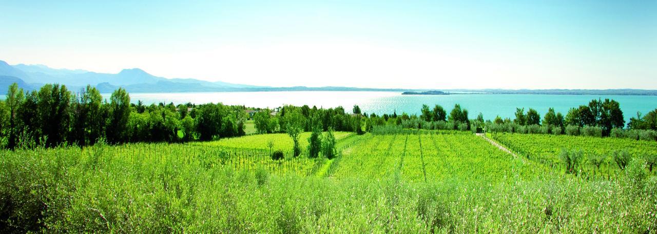 Agrigturismo Monte Cicogna Villa Moniga del Garda Eksteriør billede